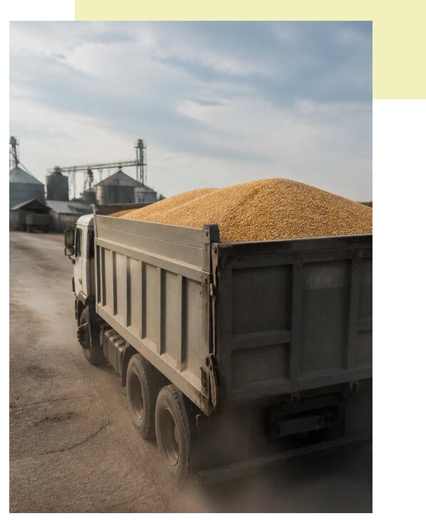 Перевозка сельхозпродукции навалом в Астрахань по цене от 3083 р. | Агросервис-Стр
