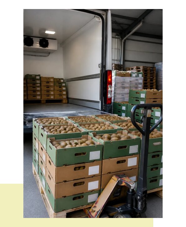Перевозка киви в Астрахань с соблюдением температурного режима